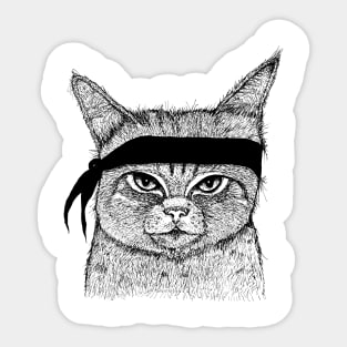 Bandit Cat Sticker